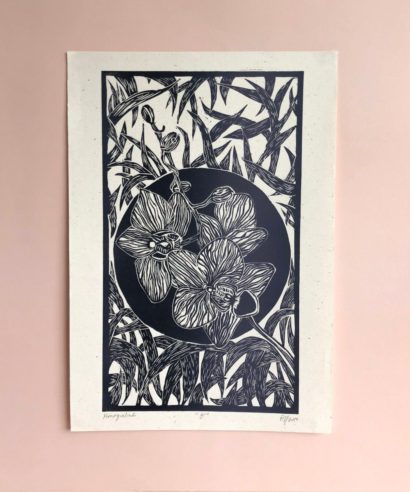 Orchidaceae 1